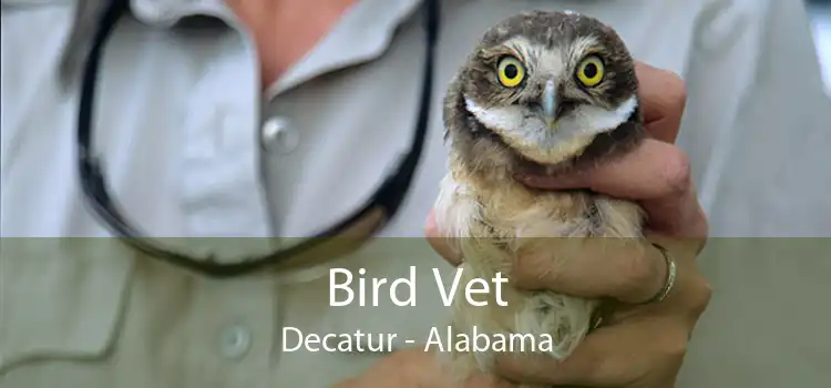 Bird Vet Decatur - Alabama