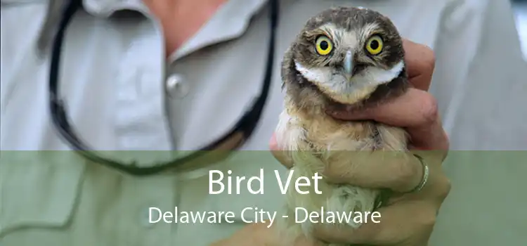 Bird Vet Delaware City - Delaware