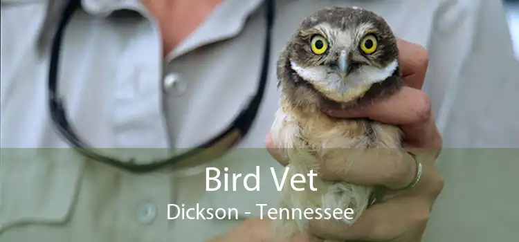Bird Vet Dickson - Tennessee