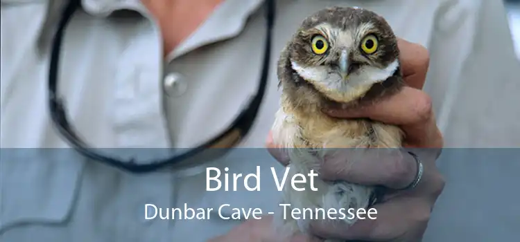 Bird Vet Dunbar Cave - Tennessee
