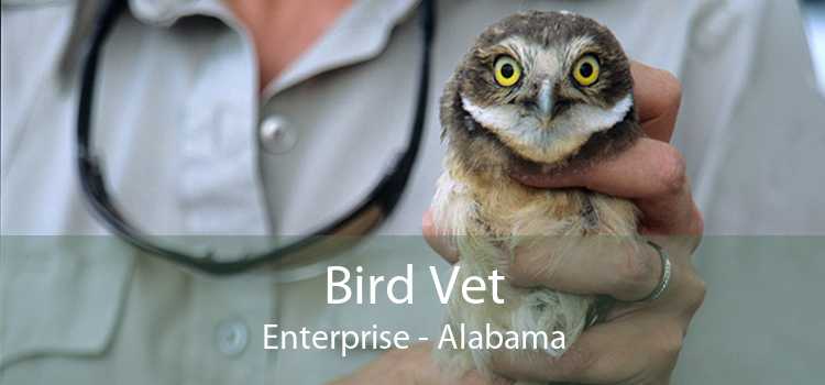 Bird Vet Enterprise - Alabama
