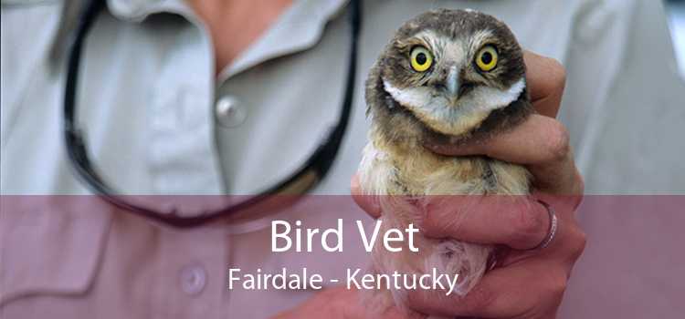 Bird Vet Fairdale - Kentucky