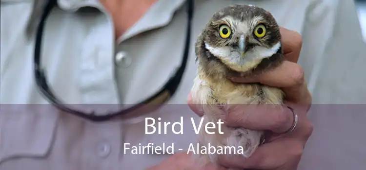 Bird Vet Fairfield - Alabama