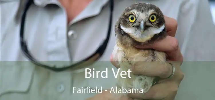 Bird Vet Fairfield - Alabama