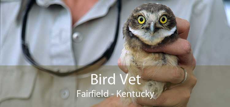 Bird Vet Fairfield - Kentucky