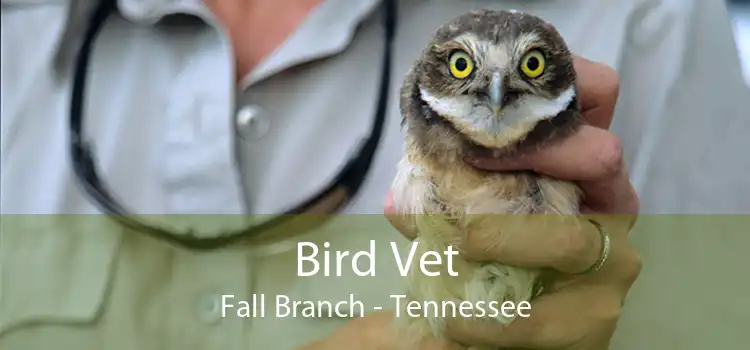Bird Vet Fall Branch - Tennessee