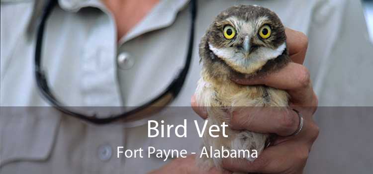 Bird Vet Fort Payne - Alabama
