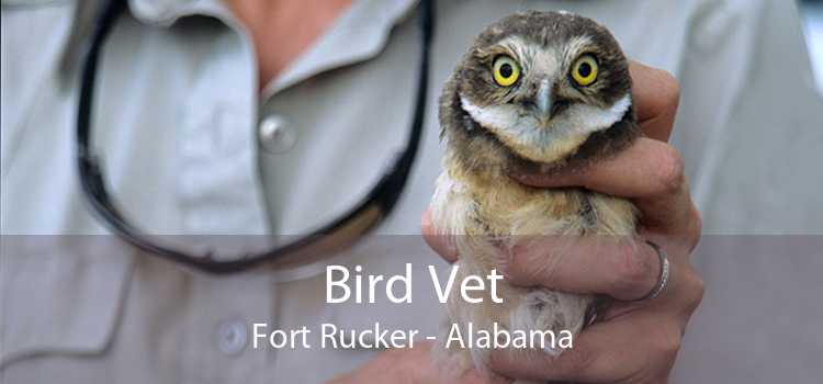 Bird Vet Fort Rucker - Alabama