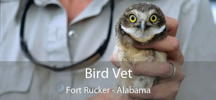 Bird Vet Fort Rucker - Alabama