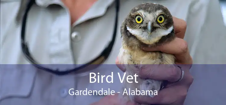 Bird Vet Gardendale - Alabama