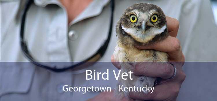 Bird Vet Georgetown - Kentucky