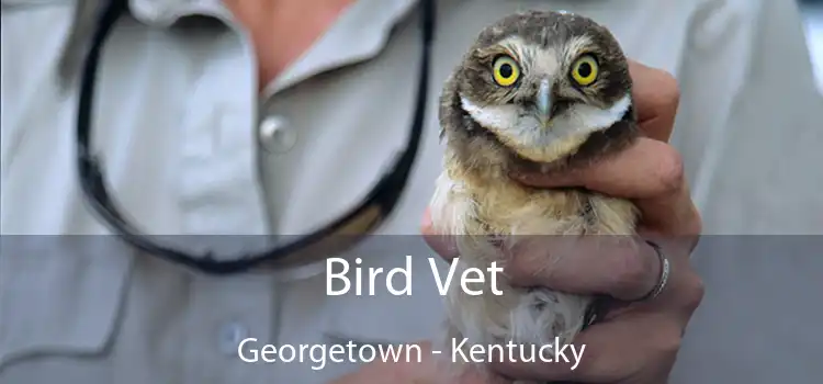 Bird Vet Georgetown - Kentucky