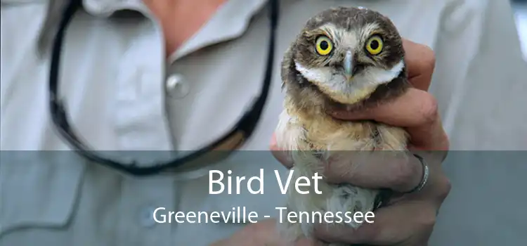 Bird Vet Greeneville - Tennessee