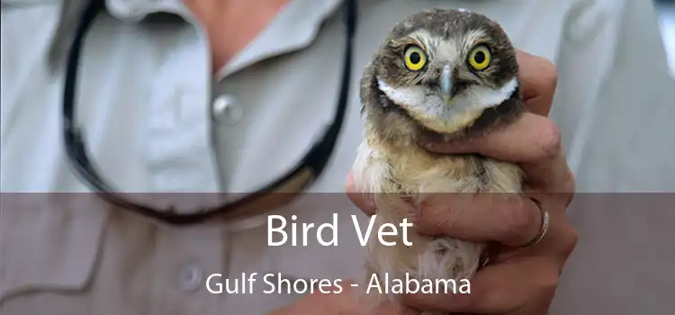 Bird Vet Gulf Shores - Alabama
