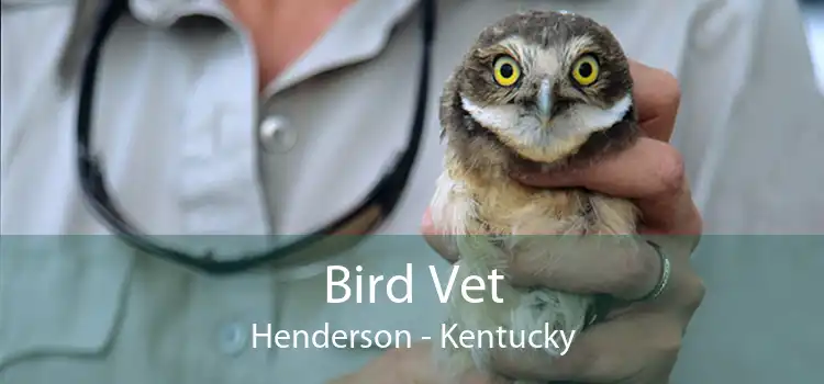 Bird Vet Henderson - Kentucky