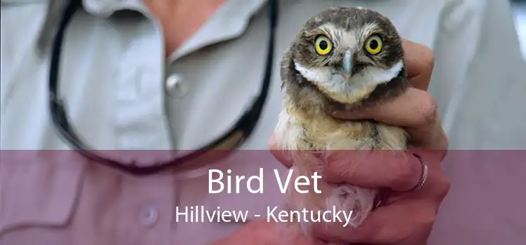 Bird Vet Hillview - Kentucky