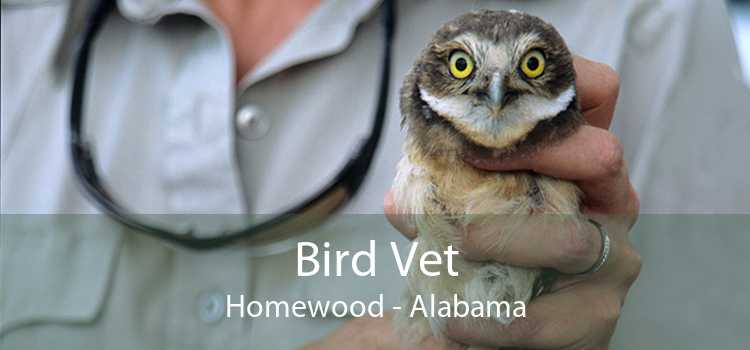 Bird Vet Homewood - Alabama