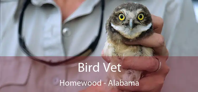 Bird Vet Homewood - Alabama
