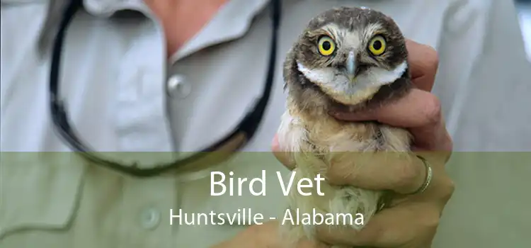 Bird Vet Huntsville - Emergency Exotic Avian Vet Near Me