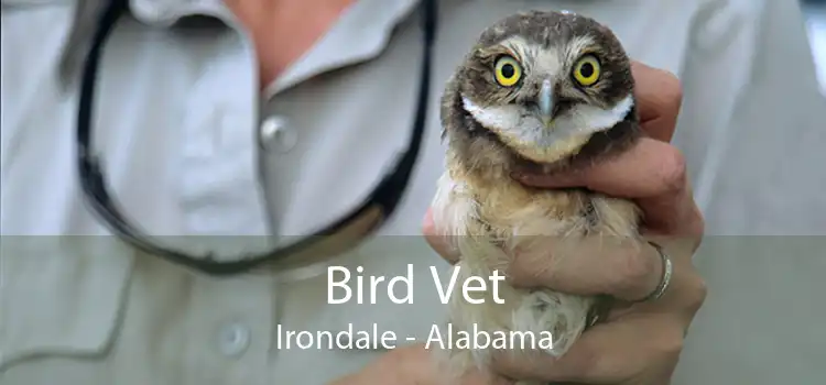 Bird Vet Irondale - Alabama