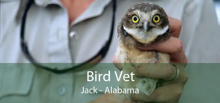 Bird Vet Jack - Alabama