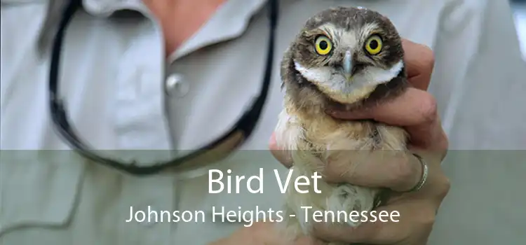 Bird Vet Johnson Heights - Tennessee