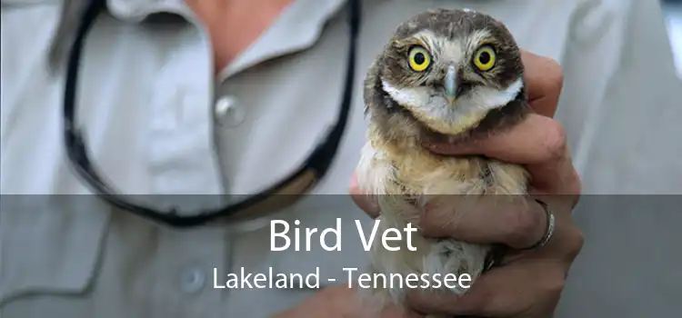 Bird Vet Lakeland - Tennessee