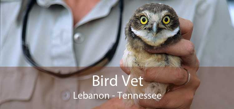 Bird Vet Lebanon - Tennessee