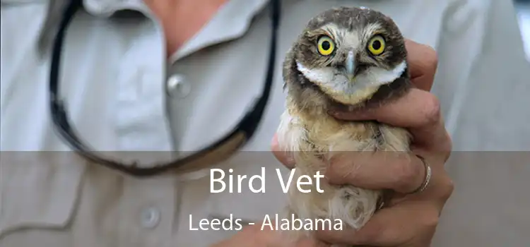 Bird Vet Leeds - Alabama