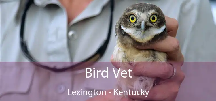 Bird Vet Lexington - Kentucky