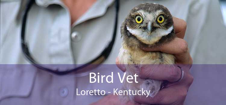 Bird Vet Loretto - Kentucky