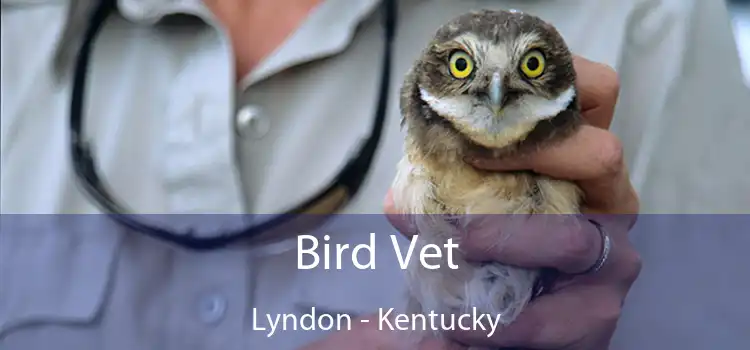 Bird Vet Lyndon - Kentucky