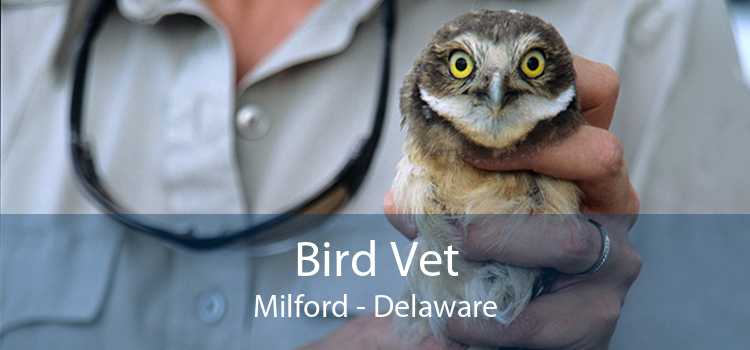 Bird Vet Milford - Delaware