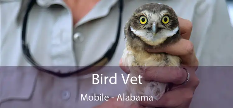 Bird Vet Mobile - Alabama