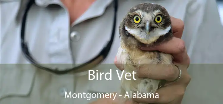 Bird Vet Montgomery - Alabama