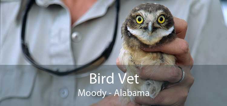 Bird Vet Moody - Alabama