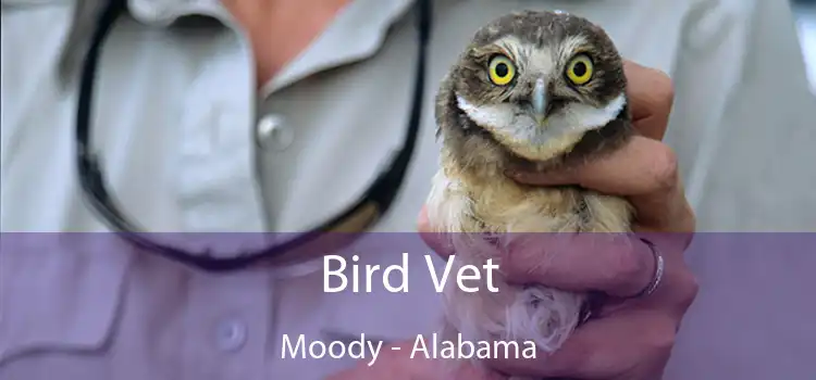 Bird Vet Moody - Alabama