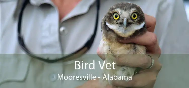 Bird Vet Mooresville - Alabama