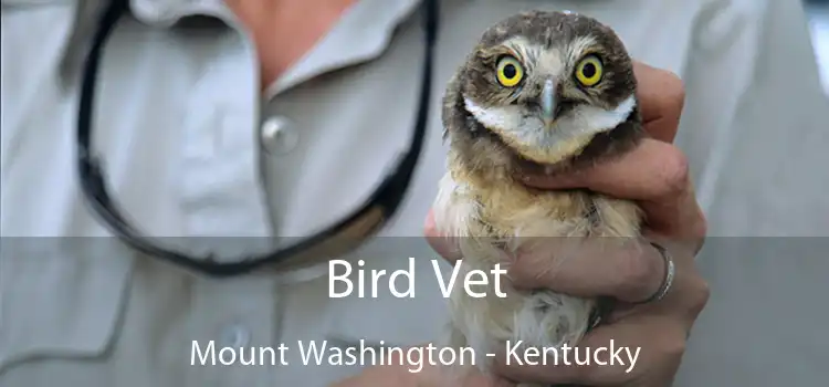 Bird Vet Mount Washington - Kentucky