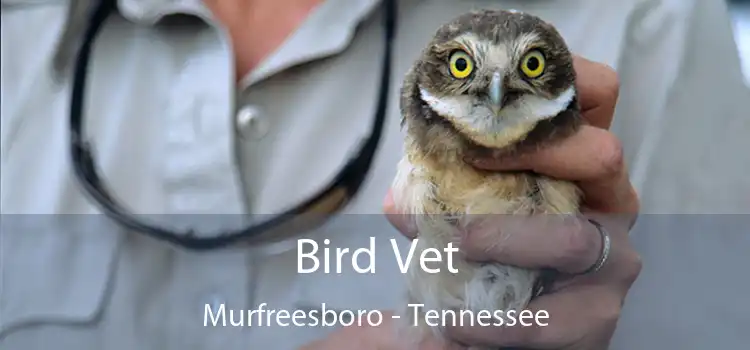 Bird Vet Murfreesboro - Tennessee