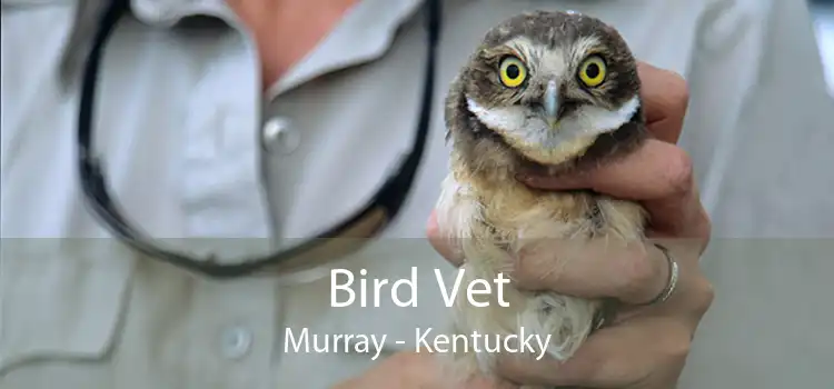 Bird Vet Murray - Kentucky