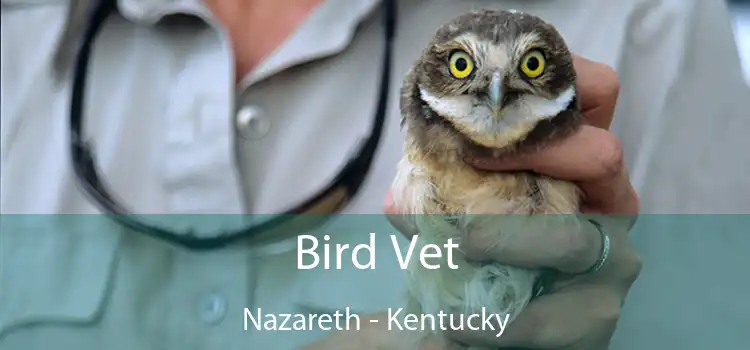 Bird Vet Nazareth - Kentucky