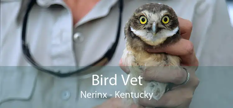 Bird Vet Nerinx - Kentucky