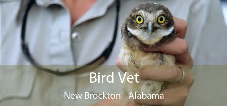 Bird Vet New Brockton - Alabama