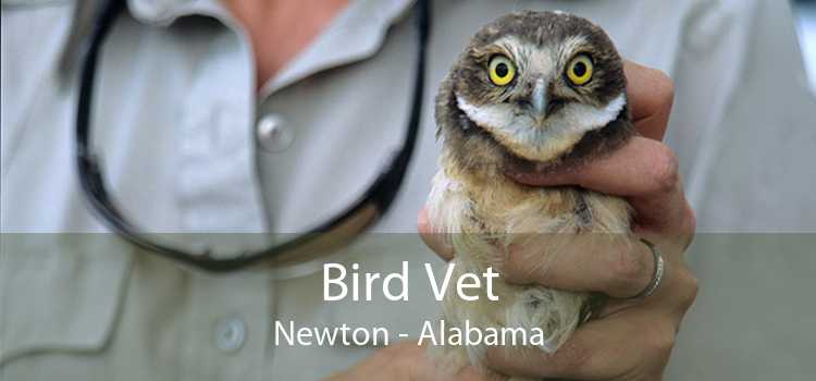 Bird Vet Newton - Alabama