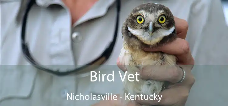Bird Vet Nicholasville - Kentucky