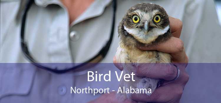 Bird Vet Northport - Alabama