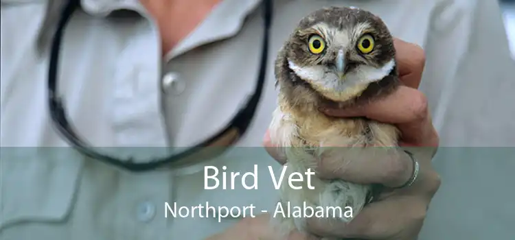 Bird Vet Northport - Alabama