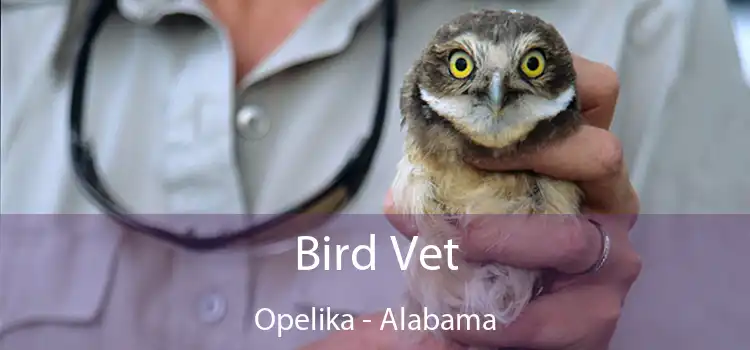Bird Vet Opelika - Alabama