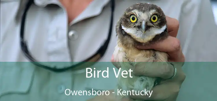 Bird Vet Owensboro - Kentucky